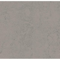 3704 Satellite Marmoleum Concrete